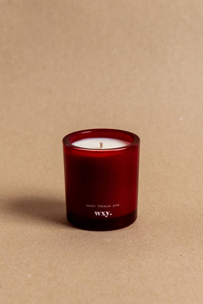 Roam mini. - 5.2oz candle - peach. hibiscus. pine.