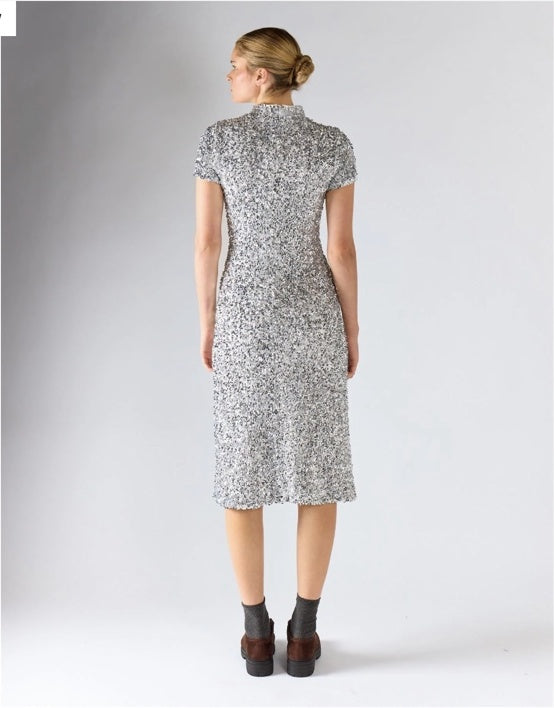 Silver sequin midi dress, back view